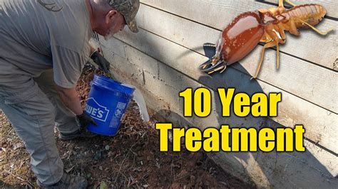 How much is termite treatment. Things To Know About How much is termite treatment. 